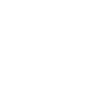 sterbenz logo